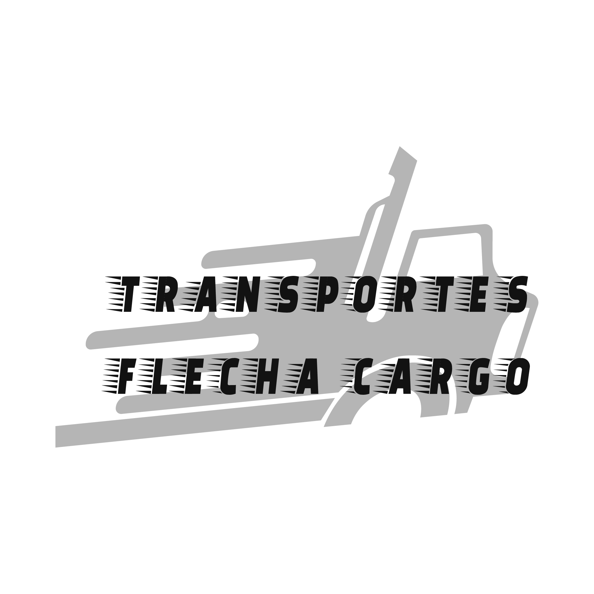 TRANSPORTES FLECHA - FR